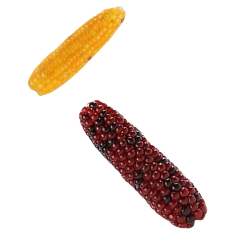 仓鼠零食磨牙专用小玉米兔子金丝熊粮食磨牙棒荷兰猪龙猫营养饲料