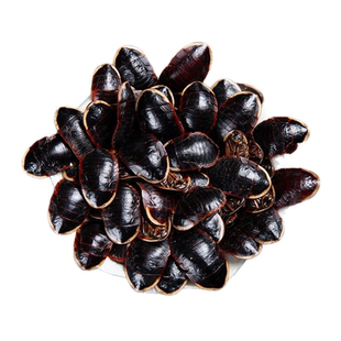 金边土鳖虫中药材500g土元新货中华地鳖虫土鳖粉山男经方缘