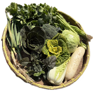 京东顺丰包邮混搭蔬菜套餐苏州青白萝卜菠菜小香芹娃娃菜西兰花