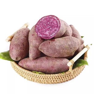 正宗沙地新鲜紫薯红薯皮薄肉厚现挖紫心地瓜婴儿孕妇可食软糯香甜