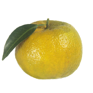 福建漳州长泰芦柑砂糖蜜桔橘碰柑孕妇新鲜大水果现摘送礼特产9斤