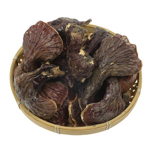 松杉灵芝野生正品长白山新鲜干货林赤灵芝多糖泡酒专用薄盖中药材