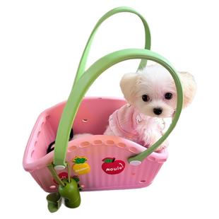 狗狗外出包便携轻便宠物猫小体型犬单肩手提比熊马尔济斯约克夏季