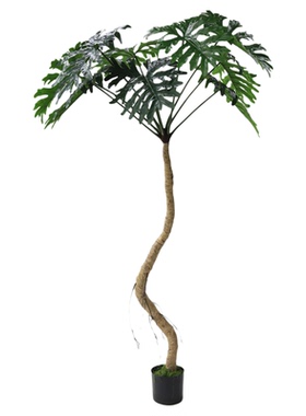 北欧风仿真春雨植物盆景热带雨林