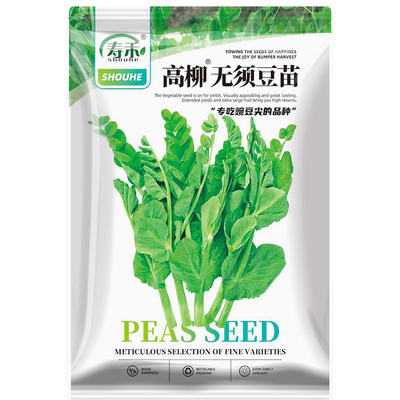无须豌豆尖种籽豌豆苗种子四季蔬菜孑碗豆芽苗菜碗豆苗种吃苗专吃
