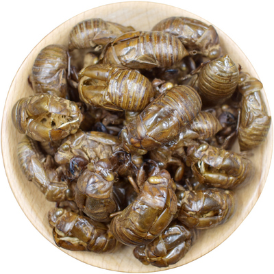 精选蝉蜕中药材正品新货