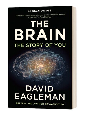 英文原版 The Brain 大脑解密手册 神经医学大脑科学自然科普书 英文版 进口英语原版书籍