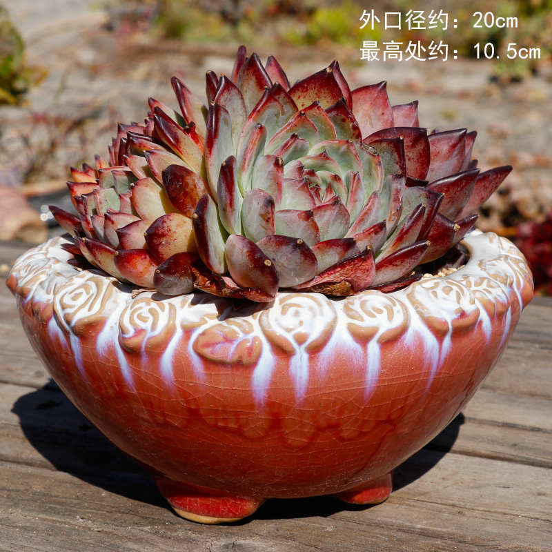 手绘手捏红花盆 陶瓷多肉花盆 老桩盆拼盘群生盆肉肉盆精美