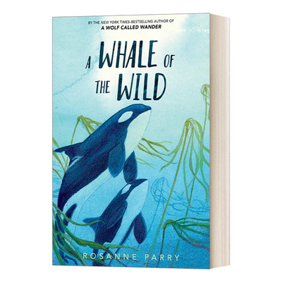 英文原版 A Whale of the Wild 野生鲸鱼 荒野之声系列 动物主题插图小说 儿童英语课外阅读 英文版 进口英语原版书籍