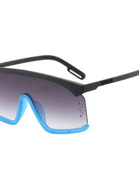 墨镜欧美复古大框海洋片防风眼镜