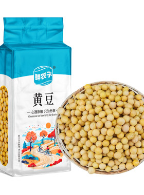 真空装东北黑龙江黄豆农家自产大黄豆五谷杂粮豆类豆浆生豆芽黄豆