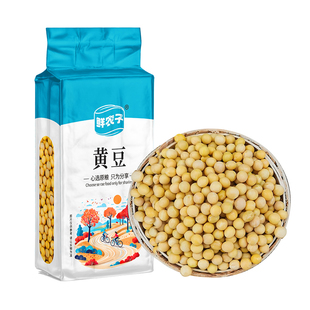 真空装东北黑龙江黄豆农家自产大黄豆五谷杂粮豆类豆浆生豆芽黄豆