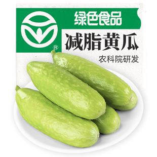 送货上门-减脂水果黄瓜绿色中农脆玉3号生吃代餐即食国货农村现