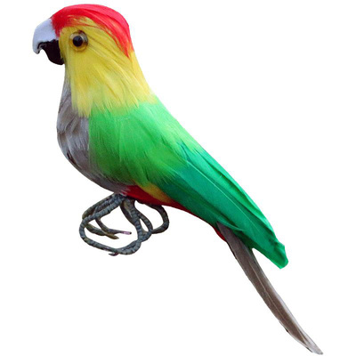 仿真鹦鹉鸽子道具动物摆件