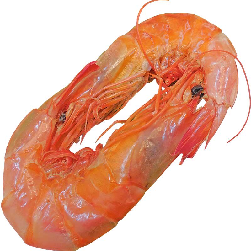 温州特产海鲜干货即食烤虾干干虾