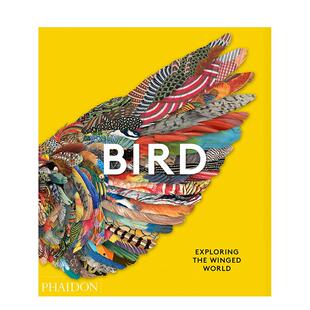 【预售】鸟:探索有翅膀的世界 科学科普图鉴画册 英文原版phaidon出版进口图书 Bird: Exploring the Winged World 善本图书