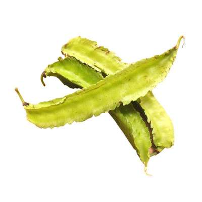 【四棱豆种子】杨桃种植播种