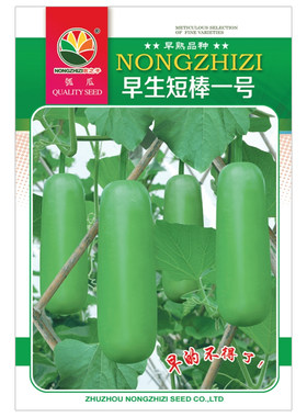 短棒瓠子瓜菜瓜蒲瓜菜种籽