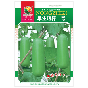 瓠子瓜种子蒲瓜短棒瓠子葫芦瓜菜瓜阳台盆栽春季四季蔬菜种孑大全