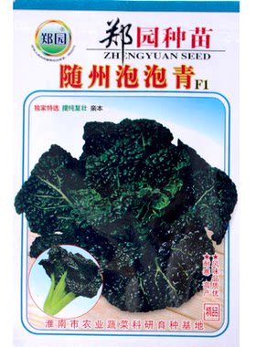 随州泡泡青种子耐寒特色菜农民用