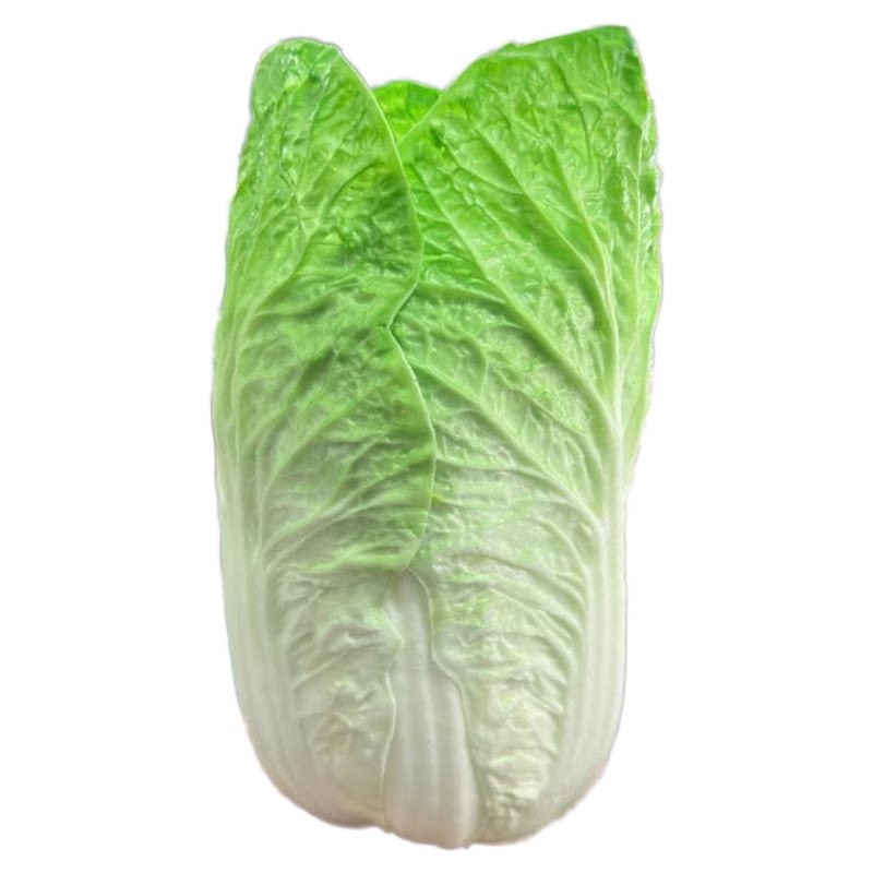 包邮仿真白菜模型白菜摆件山东特仿真水果