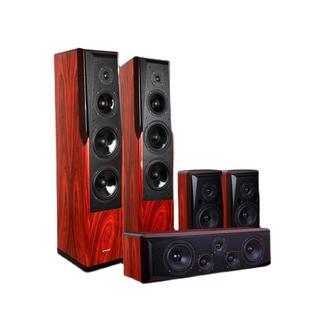 Winner/天逸 童笛八号 TD-8家庭影院音响套装5.1高保真落地式音箱