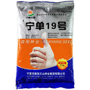 宁夏农垦 宁单19号玉米杂交种大田饲料玉米包谷种子红轴大棒高产
