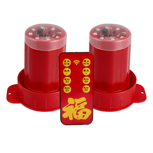 2026年大红灯笼新款电池遥控灯LED灯笼户外阳台灯泡防水红光