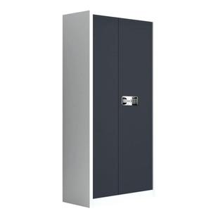 通门电子保密柜铁皮文件柜办公室密码指纹锁财务资料档案柜保险柜