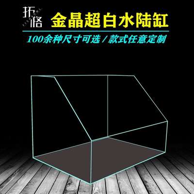 超白水陆鱼缸植物造景缸微景观斜口造景缸金晶玻璃两栖生态缸雨林