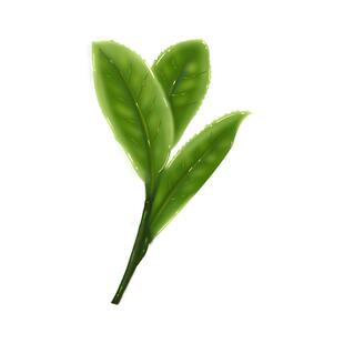 云南普洱茶茶叶熟茶砖茶勐海冰岛古树茶砖2018年普洱茶砖1000克