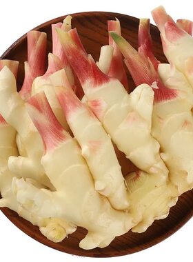 山东单根嫩姜红芽姜嫩姜鲜姜现挖现发仔姜姜芽泡醋姜腌制姜
