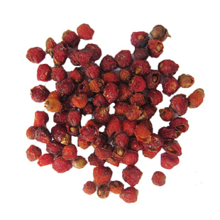 红豆杉新果干果实新鲜正宗赤柏松含紫杉醇南方红豆杉籽树根皮包邮