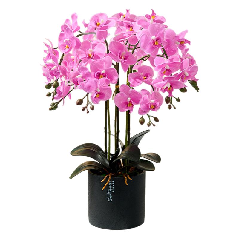 蝴蝶兰仿真花摆设兰花轻