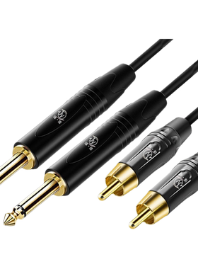 双6.5转双莲花音频线2对2av转6.5