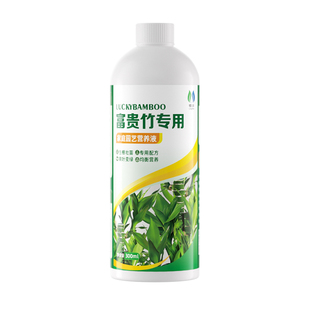 富贵竹专用营养液生根土培水培水养治叶子发黄观音竹植物通用肥料