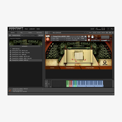 传统拉弦乐器二胡独奏