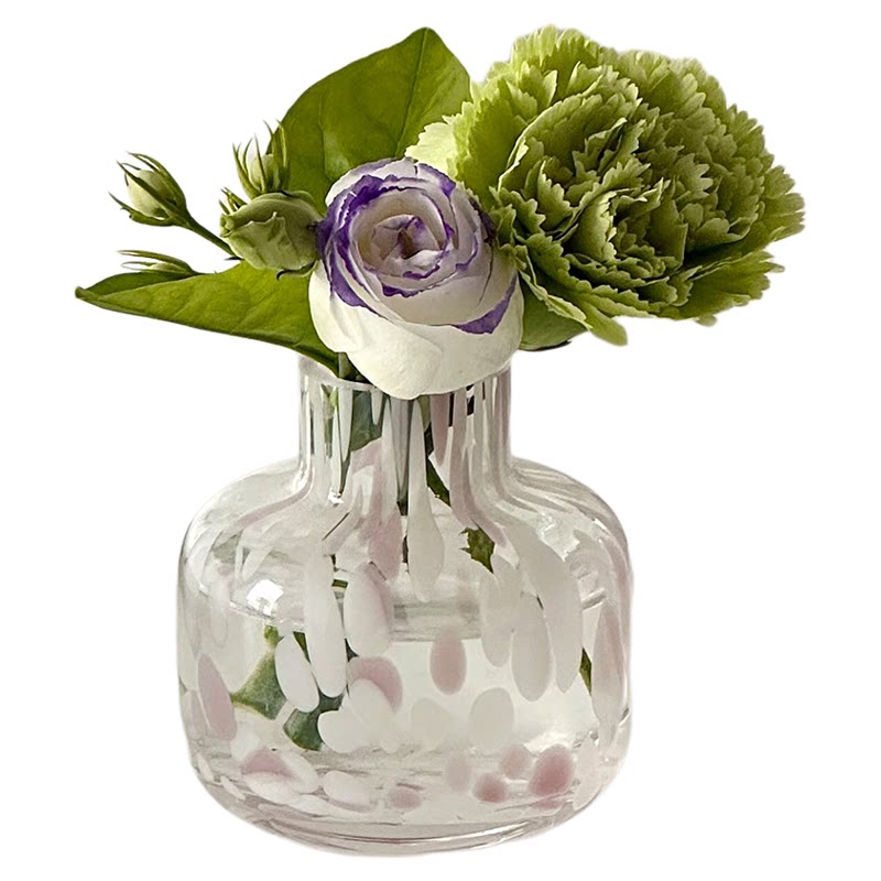 迷你小花瓶桌面摆件客厅插花设计感小众创意玻璃花瓶透明水培器皿