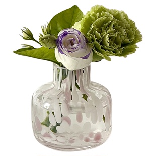 迷你小花瓶桌面摆件客厅插花设计感小众创意玻璃花瓶透明水培器皿