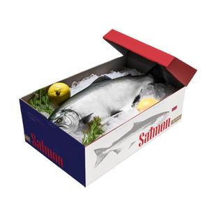 挪威三文鱼整条10-12斤 冰鲜进口一整条三文鱼刺身鲑鱼海鲜礼盒装