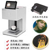 Color FC1 white appearance ink delivery box