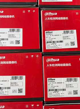 大华DH-IPC-HDW4243DT-A网络摄像机—议价