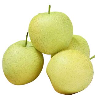 正宗脆甜翠冠梨水果青梨薄皮梨子新鲜水果脆甜无渣包邮