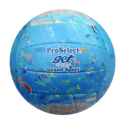 ProSelect专选排球中考学生专用