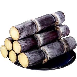 广西黑皮甘蔗新鲜脆甜水果应当季特产现砍纯正甘蔗正宗整根甜整箱