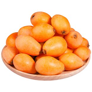 四川攀枝花米易枇杷当季新鲜水果大果现摘大五星批把琵琶孕妇包邮