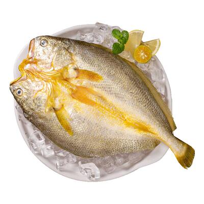 三都港醇香黄鱼鲞大黄鱼宁德黄花鱼冷冻海鲜黄鱼共6条装共1050g