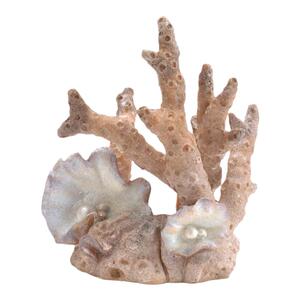 碧欧宝biorb英国桌面水景水族箱自然装饰品  珊瑚礁海洋装饰