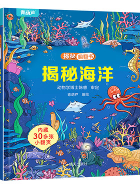 揭秘幼儿硬壳绘本早教书