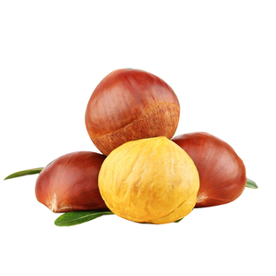 2025新鲜丹东生板栗当季板栗生新鲜栗子新下树5嫩油野栗大板栗10